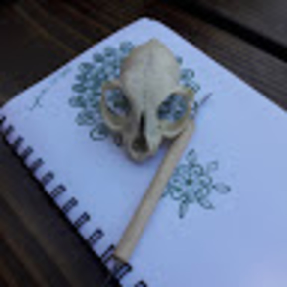 Meet your Posher, Lost - Picture 1 of 1